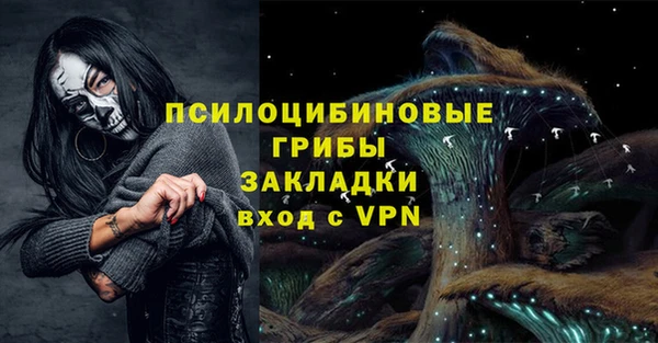 синтетический гашиш Ельня
