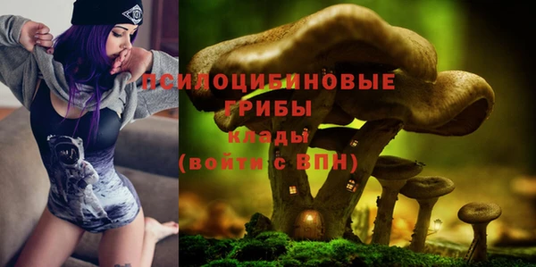 синтетический гашиш Ельня