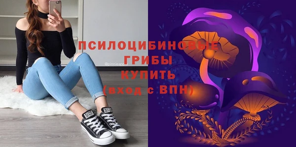 синтетический гашиш Ельня