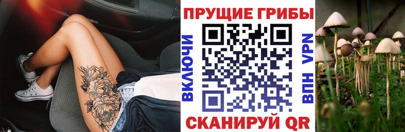 blacksprut рабочий сайт  наркотики  Ивантеевка  Псилоцибиновые грибы мухоморы 